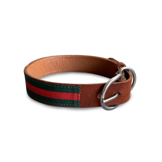 Collar perro reata rojo verde