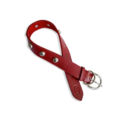 Collar perro taches rojo